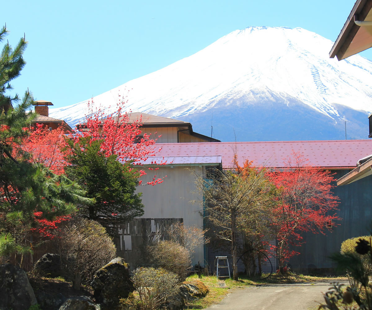 窓の向こうには、富士山
